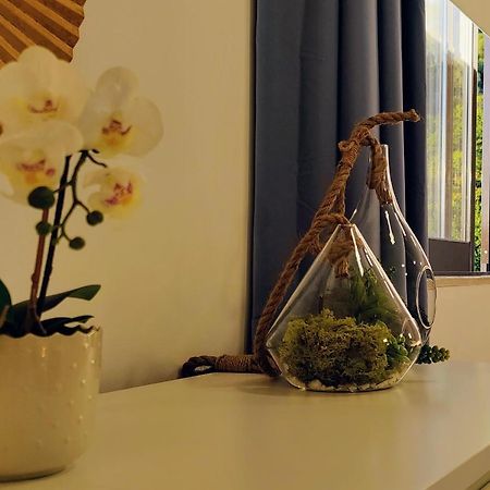 Stylish And Elegant Studio - Best View And Location In Coimbra Downton Extérieur photo