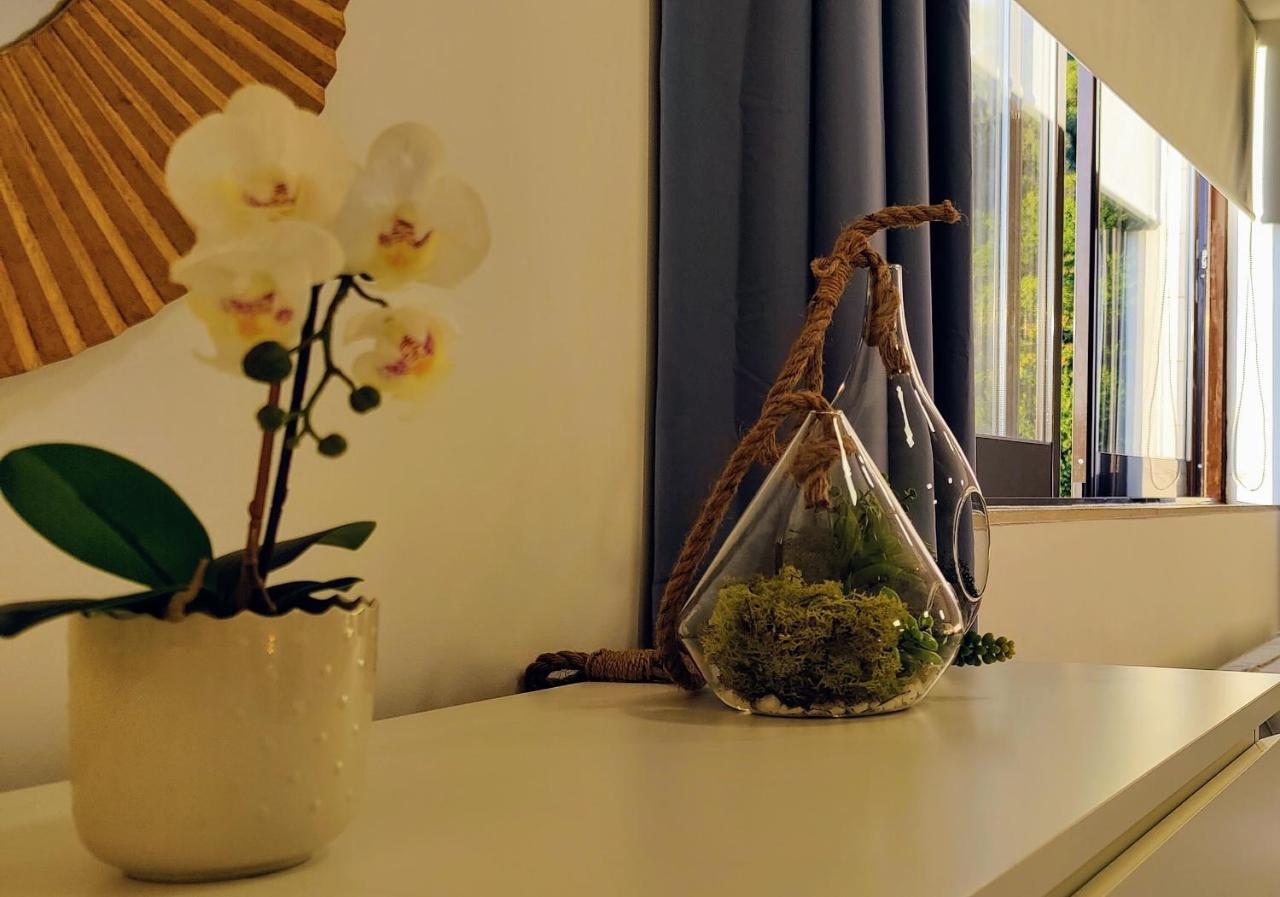 Stylish And Elegant Studio - Best View And Location In Coimbra Downton Extérieur photo